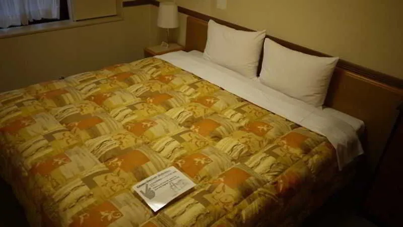 Toyoko Inn Hokkaido Sapporo Susukino Minami 2*,